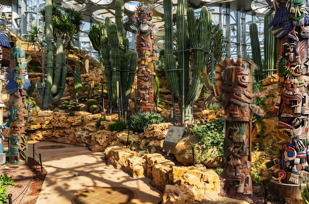 Plants of the Americas