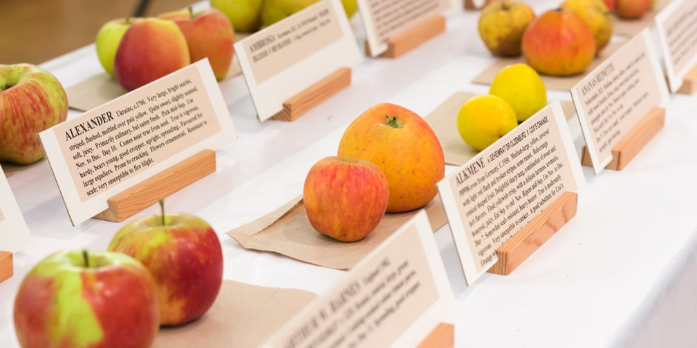 Vancouver’s UBC Apple Festival
