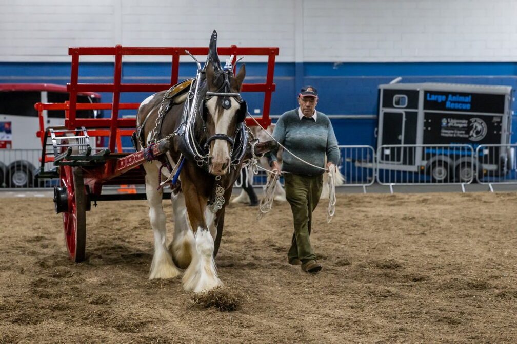 Scottish Smallholding and Countryside Festival