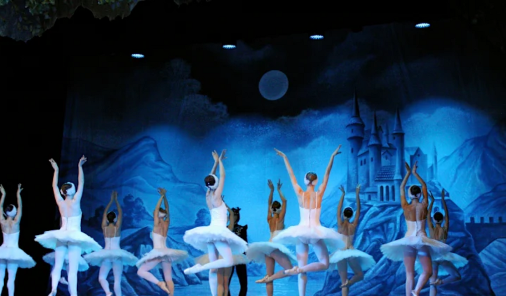 Swan: Acrobatic Dance Drama
