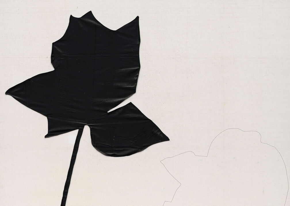 Jannis Kounellis: Io Sono Un Pittore