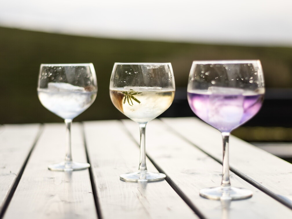 Gin Flight