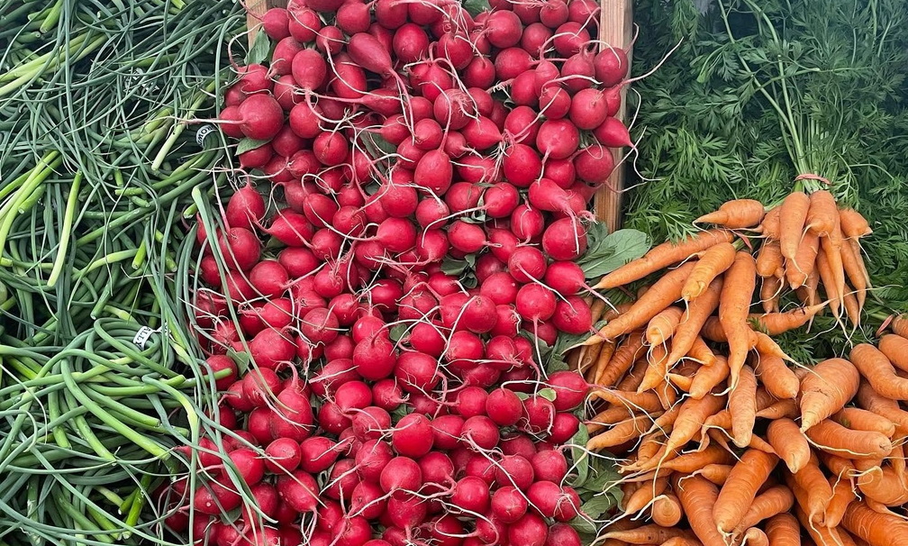 Bozeman Farmers Market