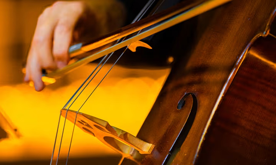 Candlelight: The Best of Hans Zimmer