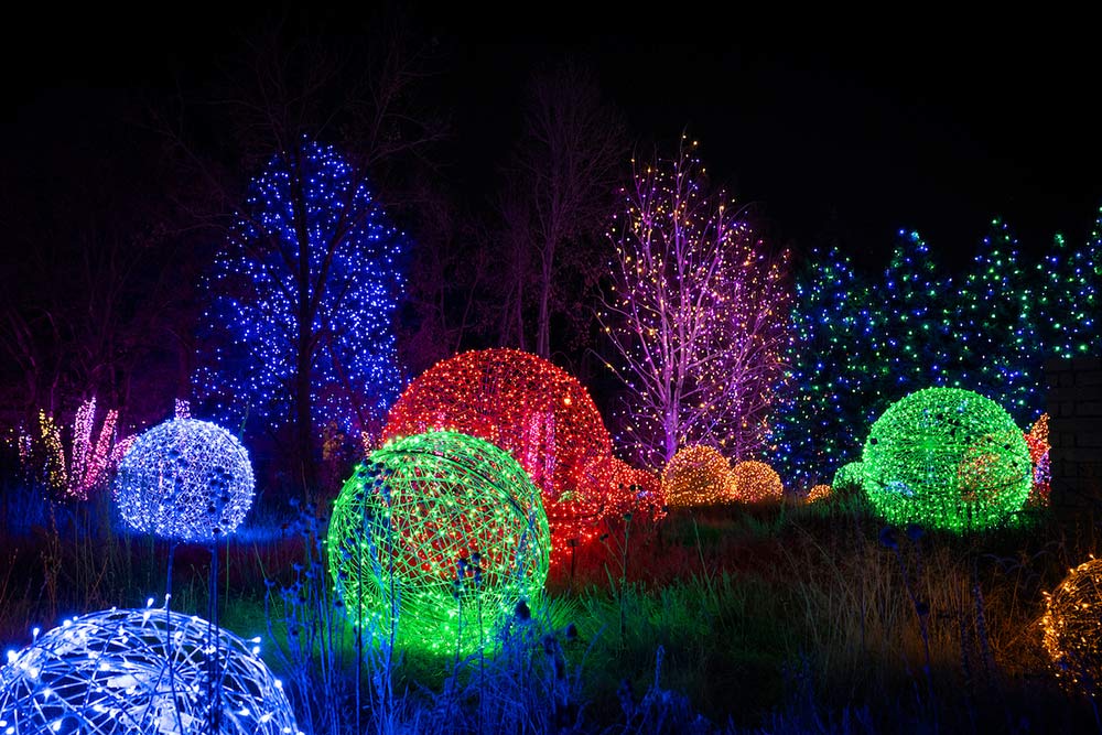 Blossoms of Light
