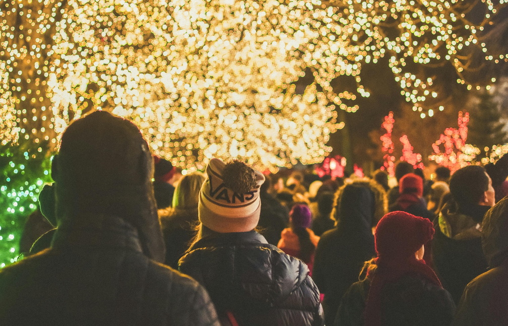 Funchal Christmas Lights & Market