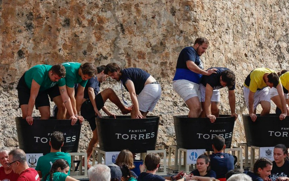 Festa de la Verema