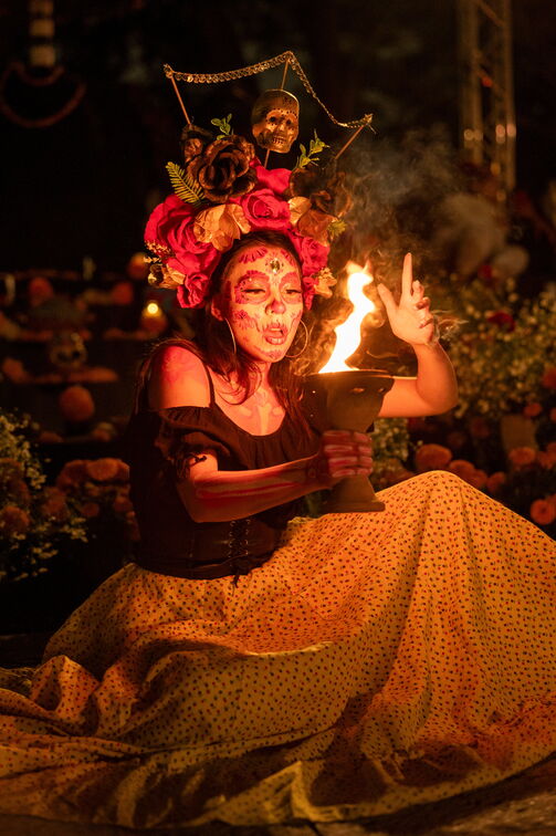 Festival of Life & Death