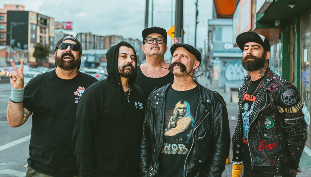 Zebrahead