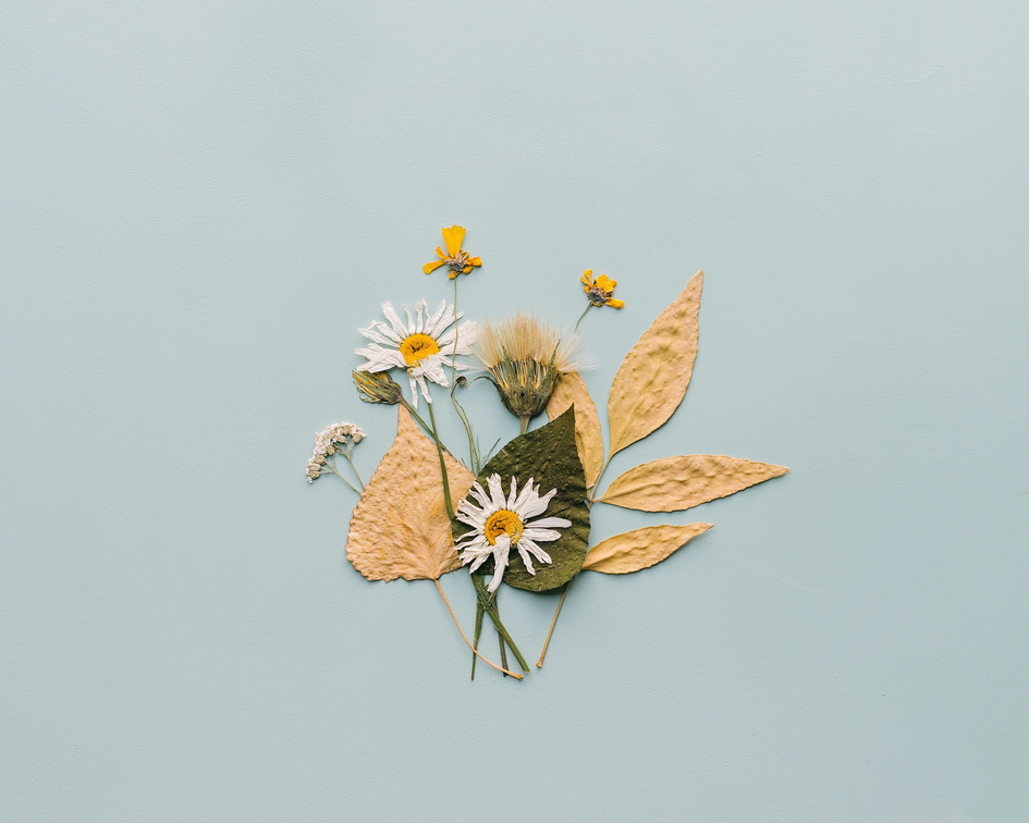 Frame with Pressed Flowers Workshop