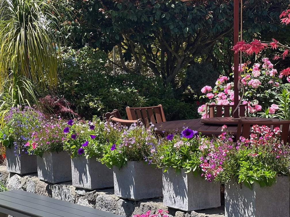 Taranaki Fringe Garden Festival