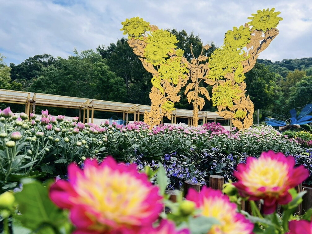 Shilin Residence Chrysanthemum Festival