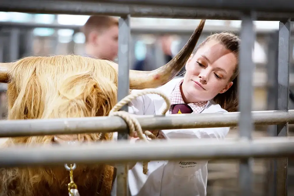 Oban Autumn Show & Sale