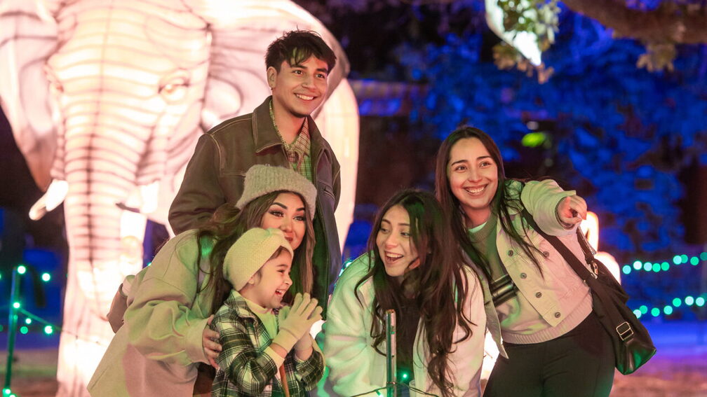 Zoo Lights