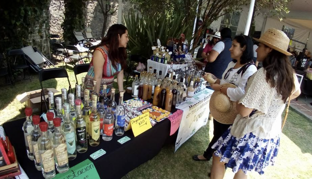 Expo Maguey 2026