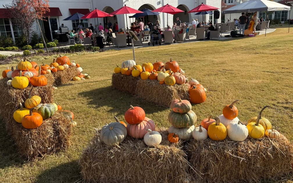 Miners' Pumpkin Patch