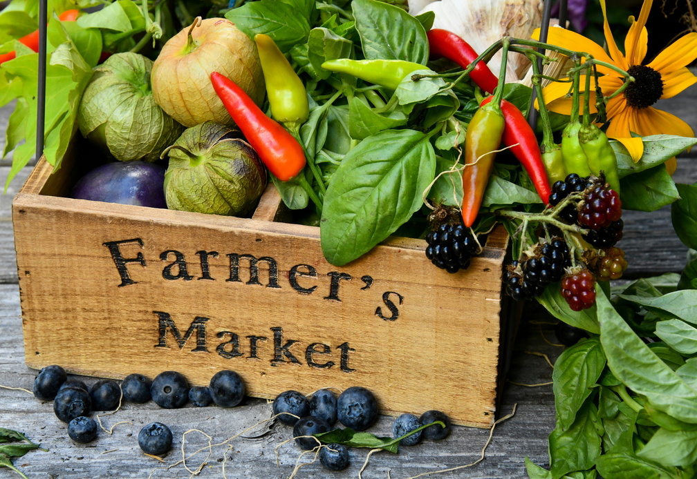 Bondi Farmers Market