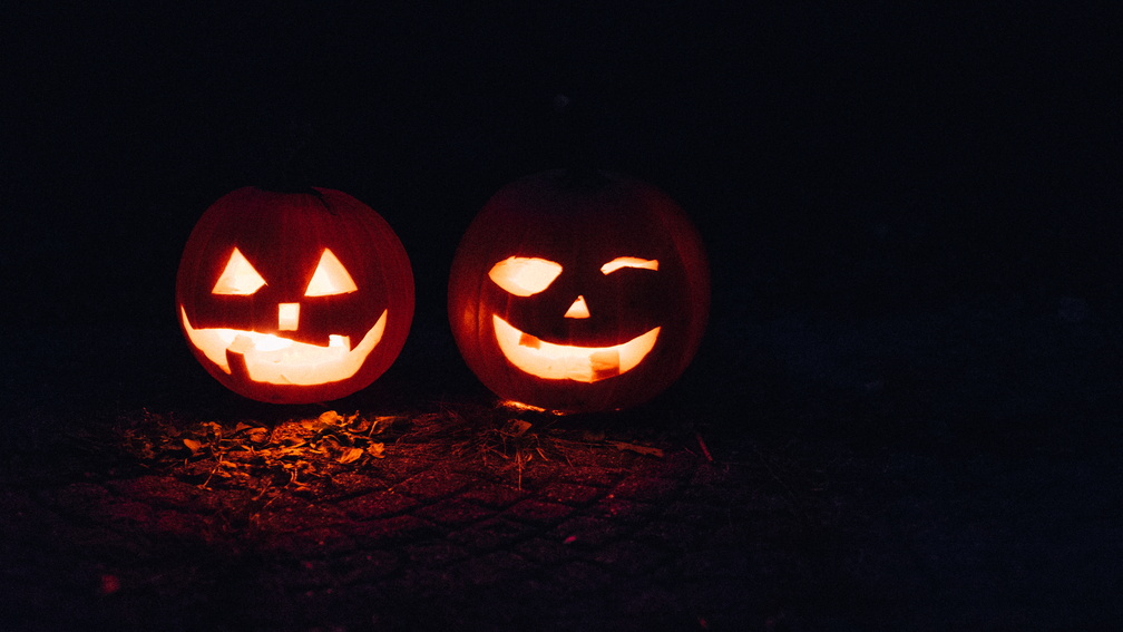Halloween in the Zoo