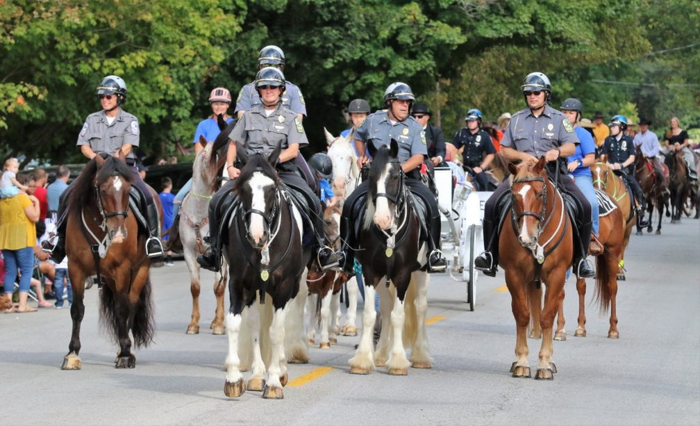 Festival of the Horse