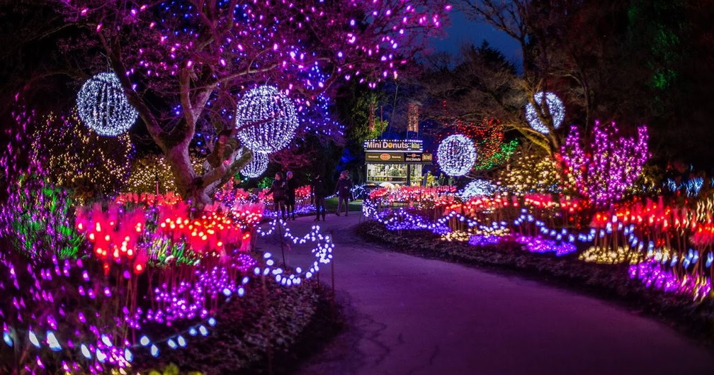 VanDusen Festival of Lights