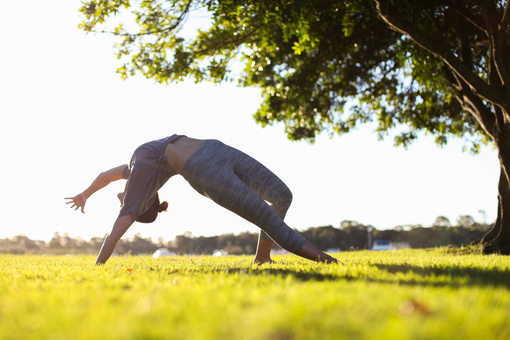 Hand Balancing Class