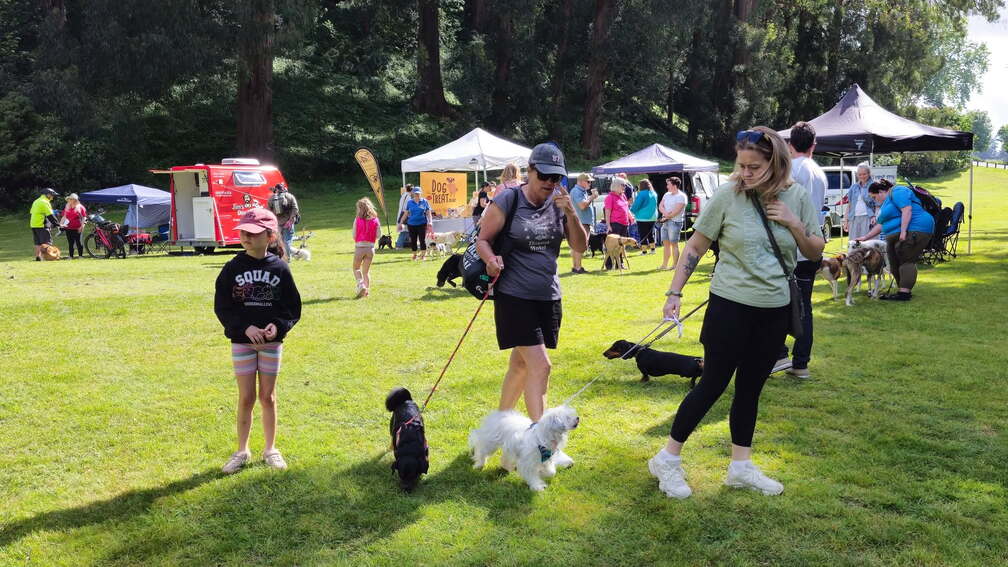 Barkfest