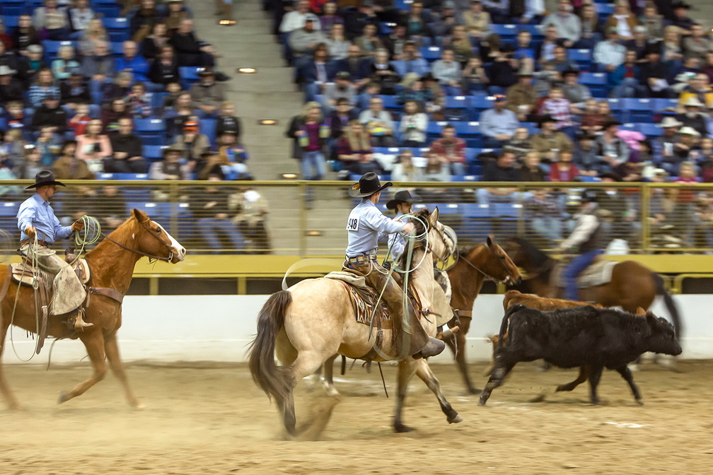 National Western Stock Show