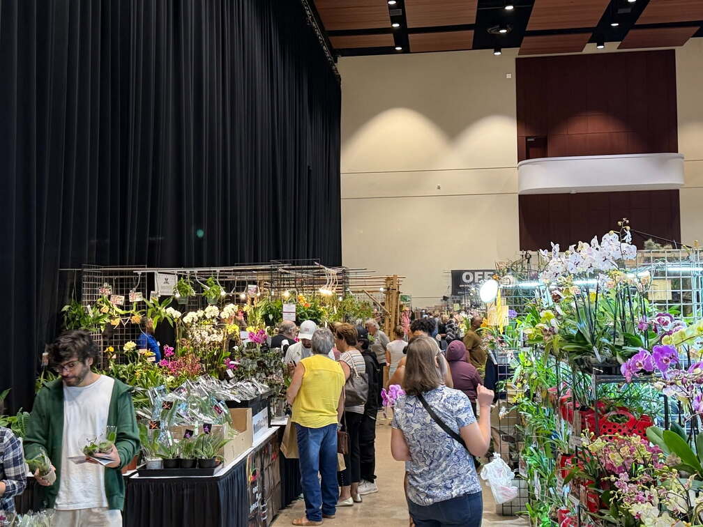 Fort Lauderdale Orchid Show