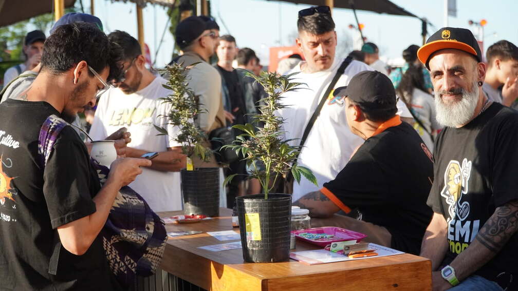 Expo Cannabis 2026: Day 2