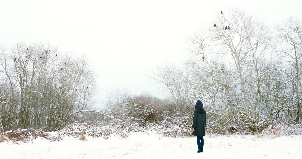 Solstice: Through Storm & Stillness