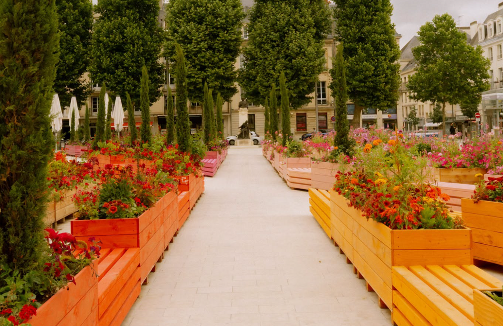 The Summer Gardens