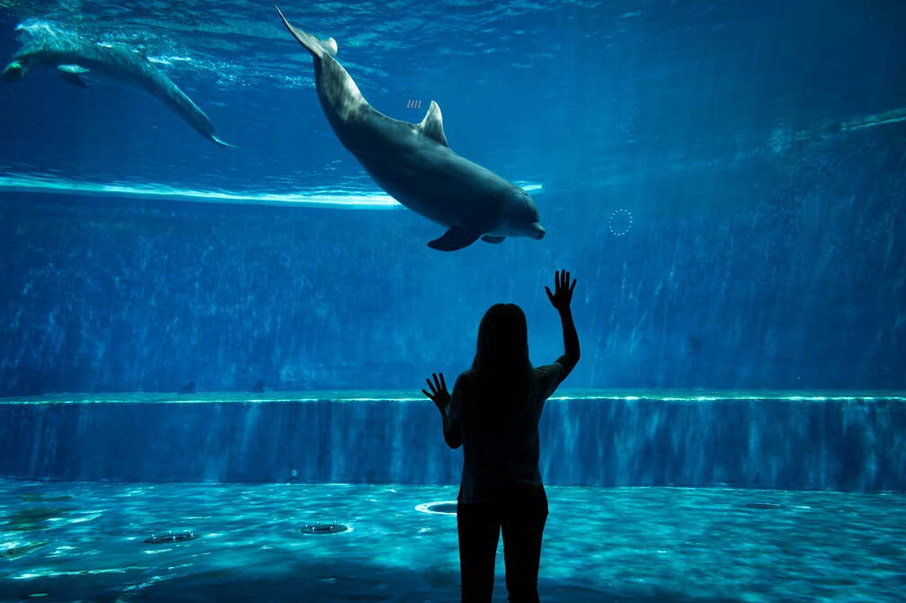 Summer at the Genoa Aquarium