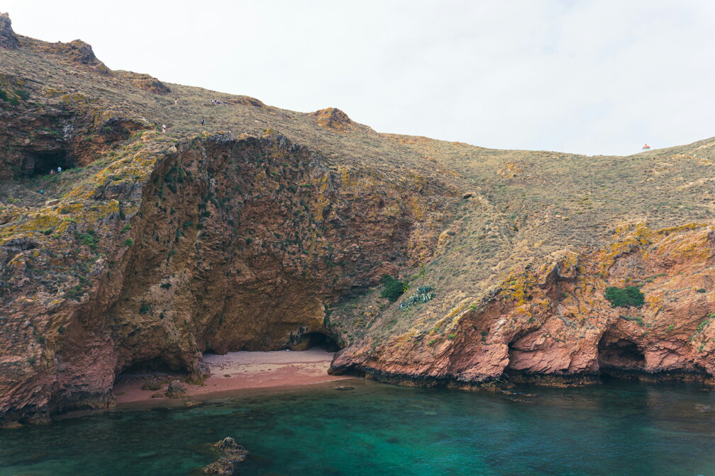 Berlenga Island & Sea Cave Boat Tour