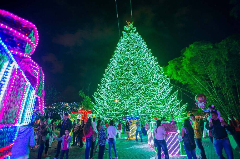 Festival de Navidad 2026