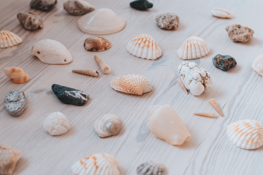 Creating a Frame with Marine Elements Workshop