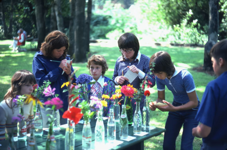 Science Alive in Summer
