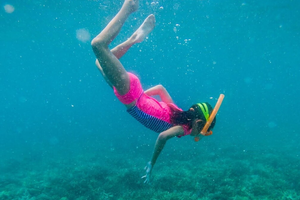 Baby Sharks & Coral Reef Adventure