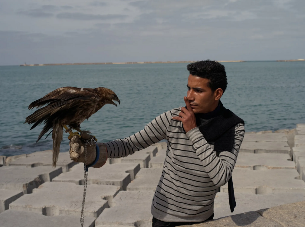 PhEST International Photography Festival