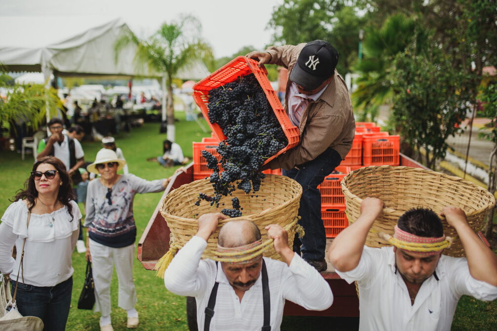 Festival de la Vendimia Querétaro