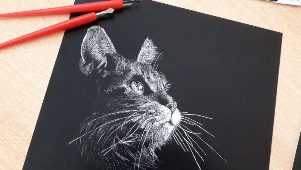 Nature Illustration Workshop
