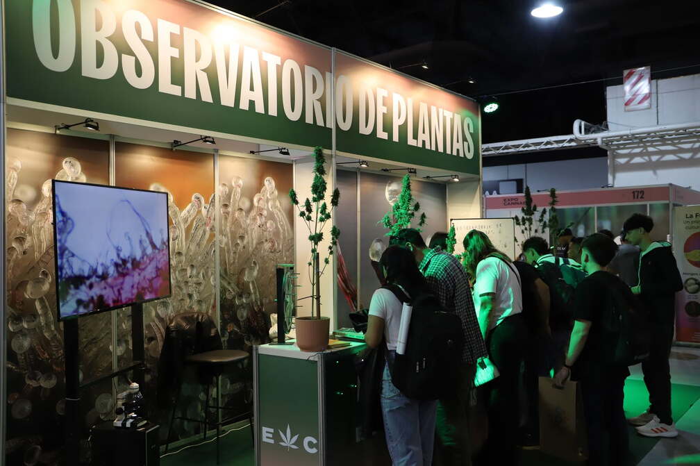 Expo Cannabis 2026: Day 1