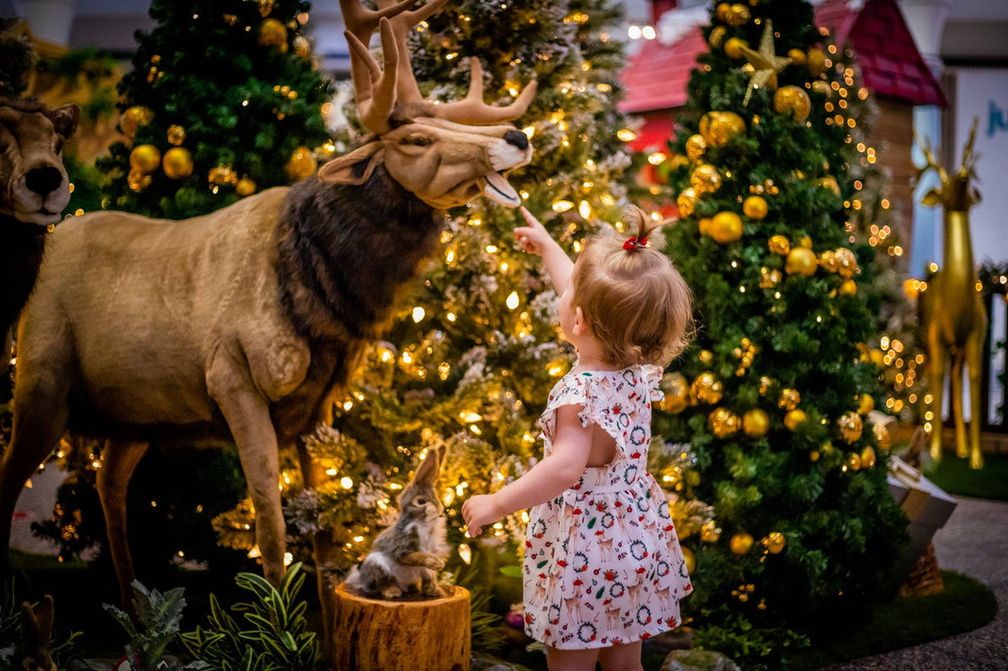 Melbourne's Christmas Wonderland