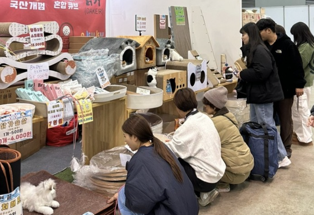 Busan Cat Show