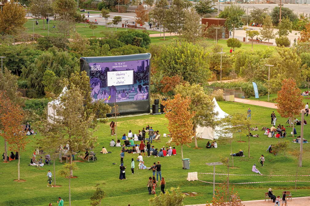 Cinema Under the Stars