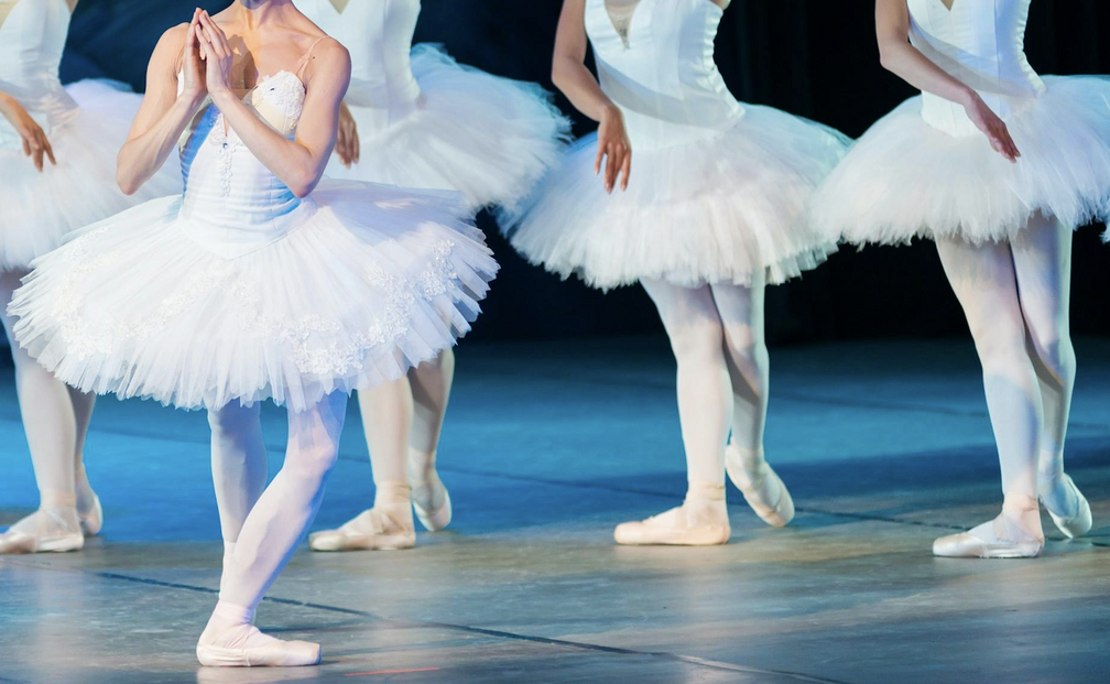 The Swan Lake: Symphony Of Lights