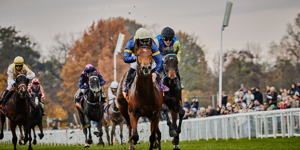 12th Race Day 2026: Season Closing