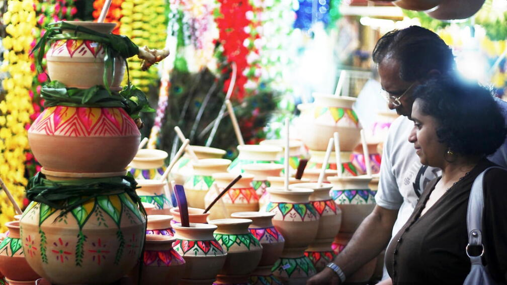 Ponga Festival