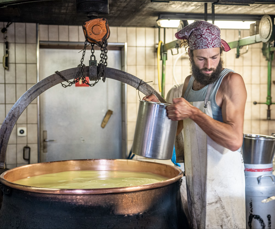 Alpine Cheese Dairy Visit With Breakfast