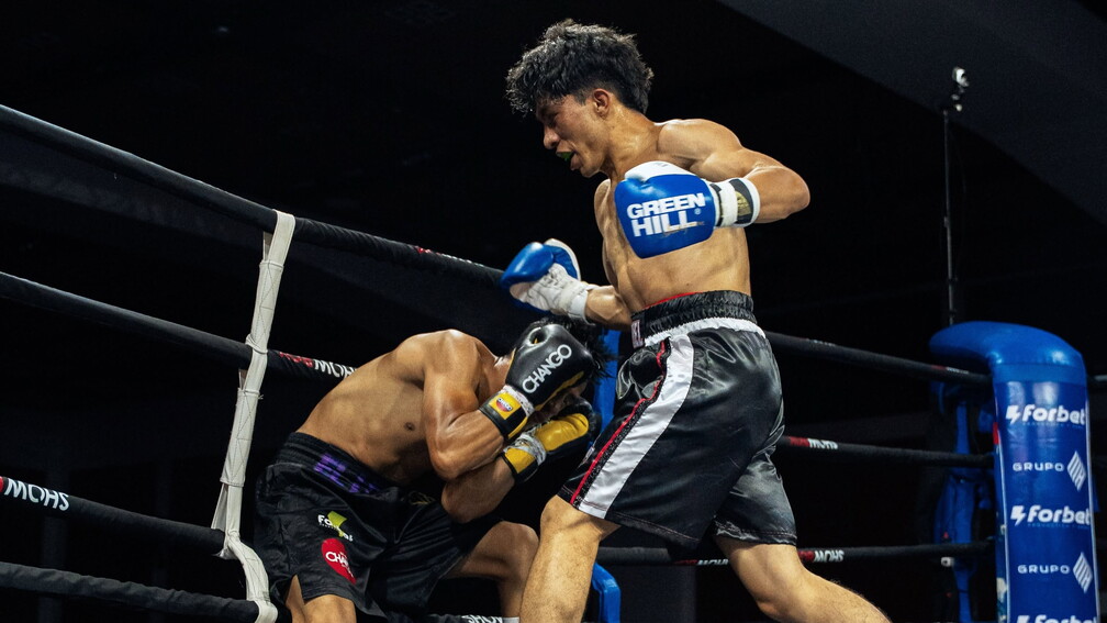 Quorum Fight Night XV