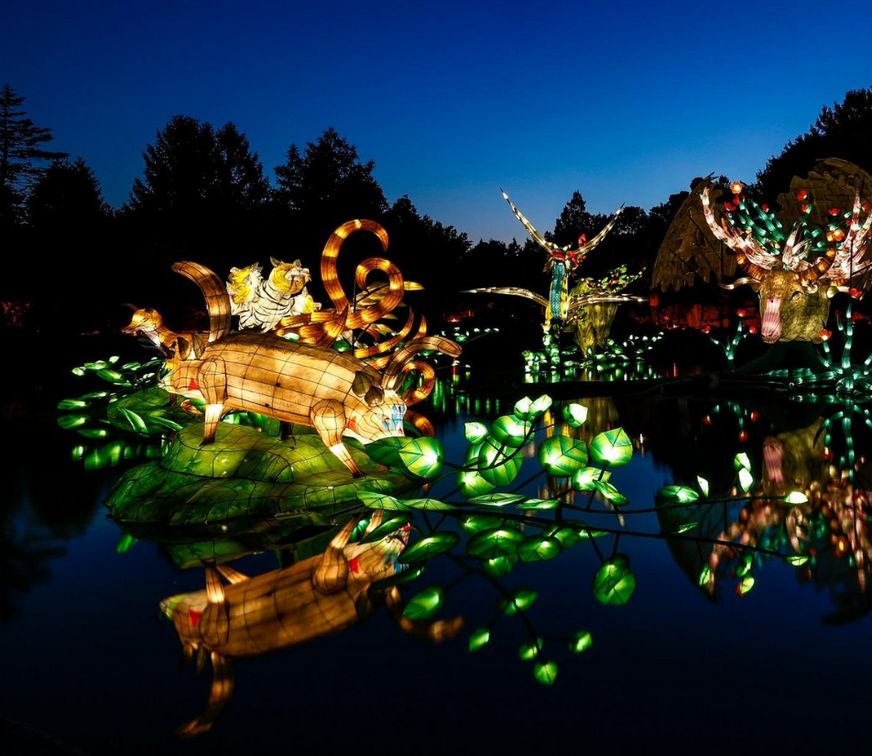 Jardins de Lumière